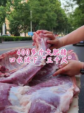 可在线观看的肉肉视频,在线观看的美食盛宴